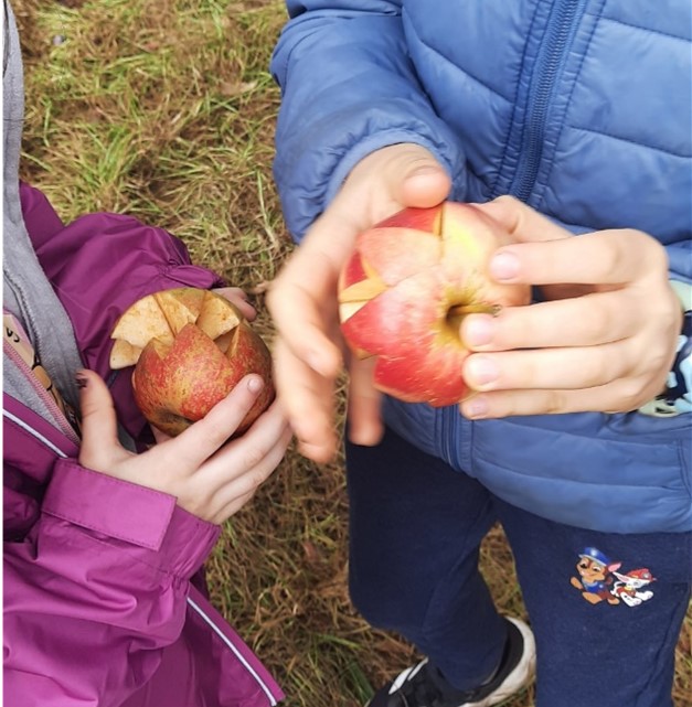 Read more about the article Besuch der Streuobstwiese – und der Kippenburg