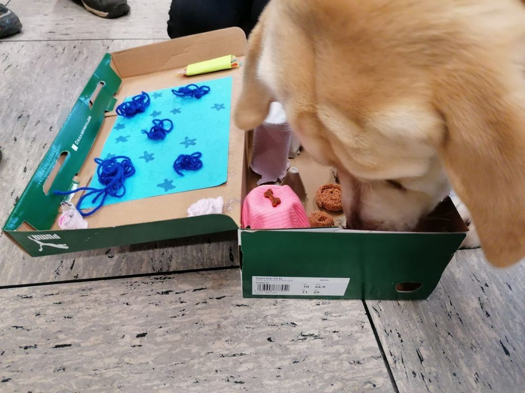 Schulalltag an der Dalberg Grund- und Mittelschule Aschaffenburg